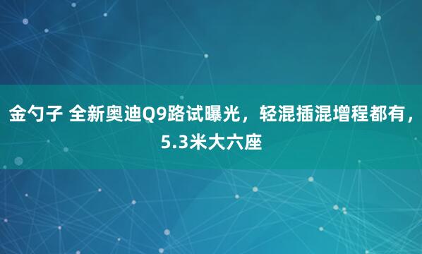 金勺子 全新奥迪Q9路试曝光，轻混插混增程都有，5.3米大六座