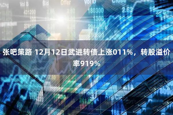 张吧策路 12月12日武进转债上涨011%，转股溢价率919%
