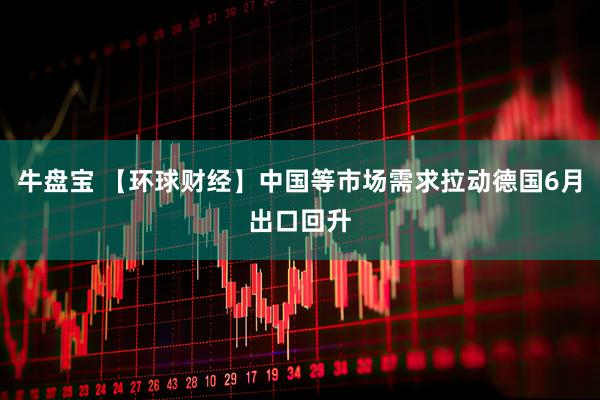 牛盘宝 【环球财经】中国等市场需求拉动德国6月出口回升