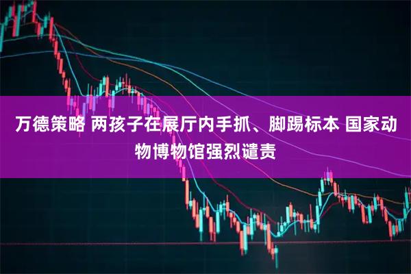 万德策略 两孩子在展厅内手抓、脚踢标本 国家动物博物馆强烈谴责